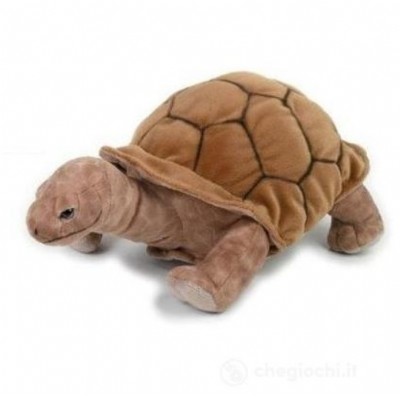 baby tartaruga