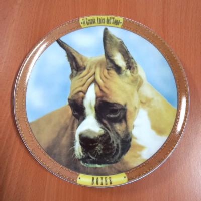 boxer
