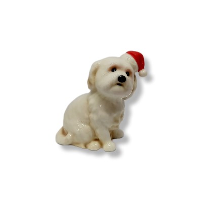 cagnolino