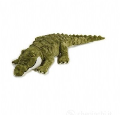 coccodrillo medio