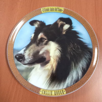 collie rough
