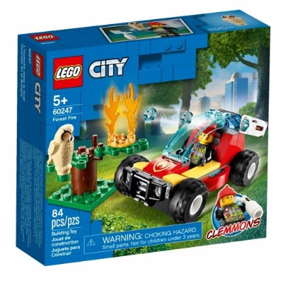 incendio nella foresta (60247)