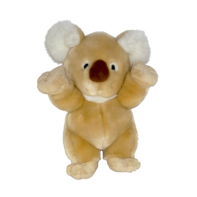 koala kenni