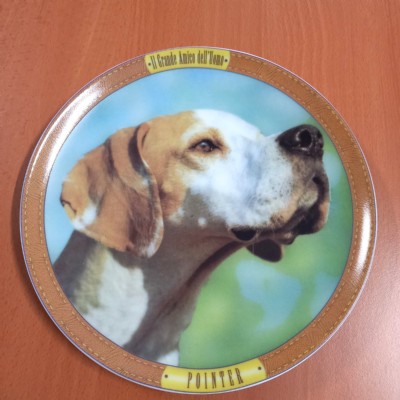 pointer