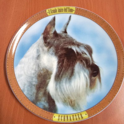 schnauzer