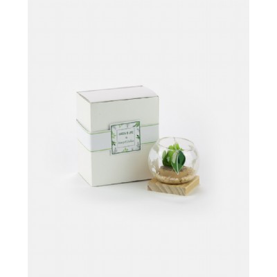 green -  sfera piccola con candela