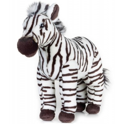 zebra media